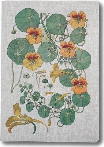 Muus Sewing Plante nasturtium 16x23 Terzi Dikiş 64 Syf Çizgili Butik Defter