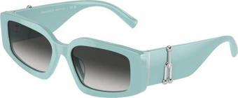 Tiffany & Co 0TF4208U 83883C Kadın Güneş Gözlüğü