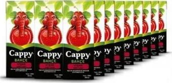 Cappy 200 ml 27'li Paket Vişne Nektarı