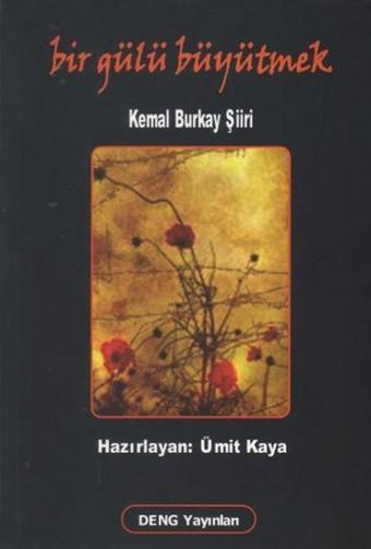 Bir Gülü Büyütmek - Kemal Burkay - Deng Yayınları