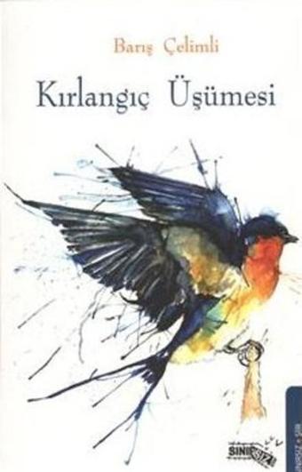 Kırlangıç Üşümesi - Barış Çelimli - Sınırsız Kitap