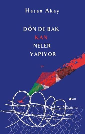 Dön de Bak Kan Neler Yapıyor - Hasan Akay - Şule Yayınları