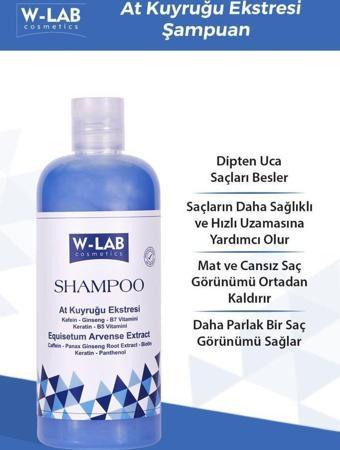 W-Lab Kozmetik Hızlı Uzamaya Yardımcı Bakım Şampuanı 400 ML