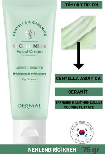 Dermal CICA x Mide Facial Cream Centella Asiatica ve Seramid Özlü Aydınlatıcı ve Kırışıklık Bakımı Yüz Kremi 75 ML 