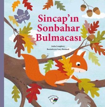 Sincap'ın Sonbahar Bulmacası  -  Doğada Bir Yıl - Anita Loughrey - Minik Kuş Kitap