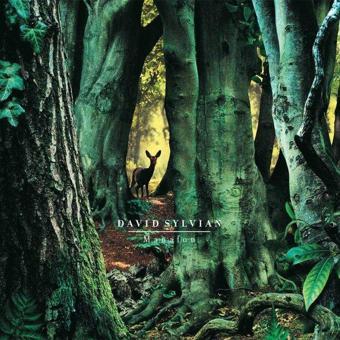 David Sylvian Manafon Plak - David Sylvian