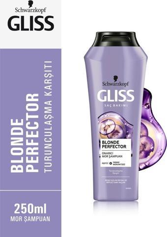 Schwarzkopf Gliss Blonde Perfector Turunculaşma Karşıtı Mor Şampuan 250 ml