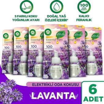 Air Wick Elektrikli Oda Kokusu Yedek Şişe Lavanta x 6