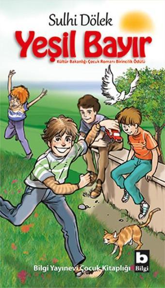 Yeşil Bayır - Sulhi Dölek - Bilgi Yayınevi