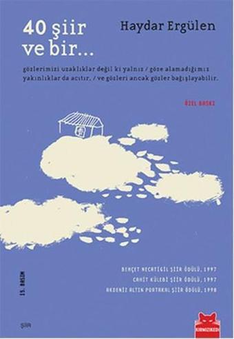 40 Şiir ve Bir - Haydar Ergülen - Kırmızı Kedi Yayınevi