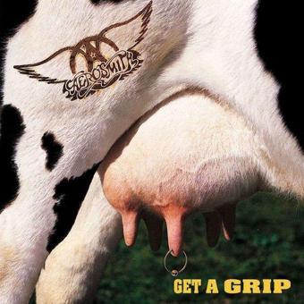 Aerosmith Get A Grip Plak - Aerosmith 