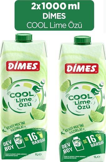 Dimes Cool Lime Özü 1 lt 2'li