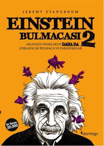 Einstein Bulmacası 2 - Jeremy Stangroom - Domingo Yayınevi