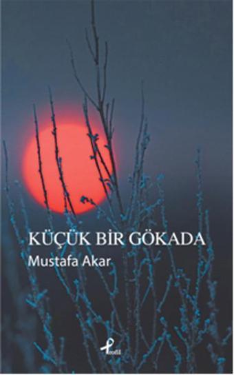 Küçük Bir Gökada - Mustafa Akar - Profil Kitap Yayınevi