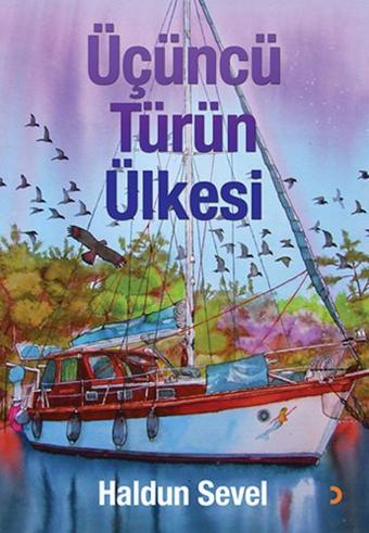 Üçüncü Türün Ülkesi - Haldun Sevel - Cinius Yayınevi