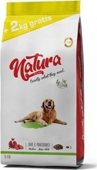 Natura Kuzu Etli Büyük Irk Yetişkin Köpek Maması 12 + 2 kg