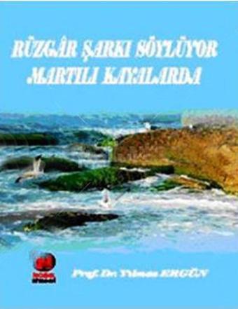 Rüzgar Şarkı Söylüyor Martılı Kayalarda - Yılmaz Ergün - Adana Nobel Kitabevi