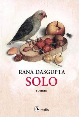 Solo - Rana Dasgupta - Metis Yayınları