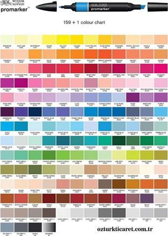 Winsor Newton Promarker Çift Uçlu Alkol Bazlı Grafik Çizim Kalemi Orchid 364 (V528)