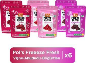 Pol's Freeze Fresh Kırmızı Meyveler Paketi