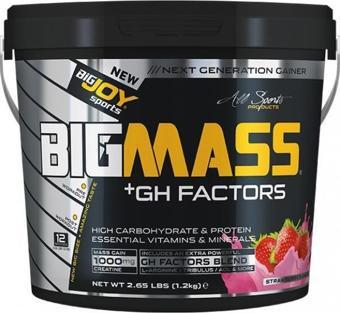 BigJoy BigMass GH Factors 1200g/Çilek