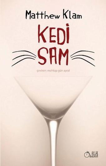 Kedi Sam - Matthew Klam - Aylak Adam