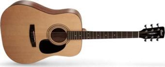 Cort Akustik Gitar