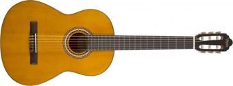 Valencıa Vc204 Klasik Gitar Kılıf Ve Pena Hediyeli