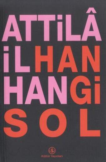 Hangi Sol - İş Bankası Kültür Yayınları