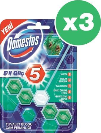 Domestos Wc Blok 5'Li Güç Çam Ferahlığı 55 Gr X 3 Adet