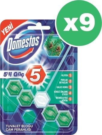 Domestos Wc Blok 5'Li Güç Çam Ferahlığı 55 Gr X 9 Adet