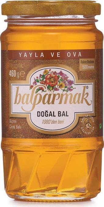 Balparmak Yayla ve Ova Çiçek Balı 460 g