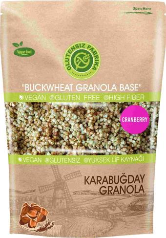 Glutensiz Fabrika GLUTENSİZ FABRİKA YULAF & KARABUĞDAY GRANOLA 300 GRAM (CRANBERRY'Lİ)