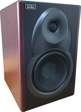 Big Sound Soundking KM8B 8inch Aktif Monitör Hoparlör (Adet)