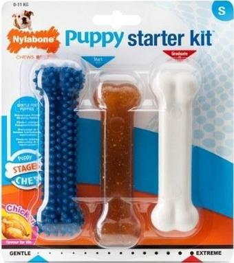 Nylabone Tavuk Aromalı Yavru Köpek Başlangıç Kiti S