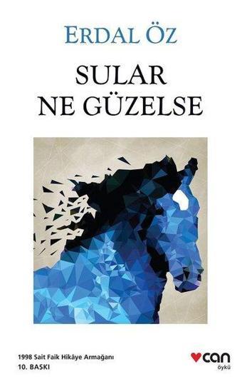 Sular Ne Güzelse - Erdal Öz - Can Yayınları