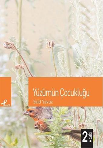 Yüzümün Çocukluğu - Said Yavuz - Profil Kitap Yayınevi