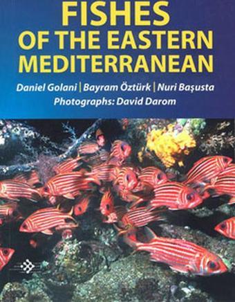 Fishes Of The Eastern Mediterranean - Kolektif  - İlke Basın Yayın