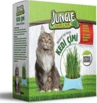 Jungle Fileli Kedi Çimi