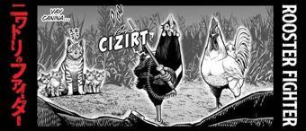 Rooster Fighter Cilt 2 - Horoz Savaşçı - Shu Sakuratani - Yolgezer Yayıncılık