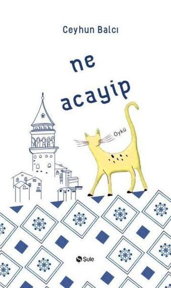 Ne Acayip - Ceyhun Balcı - Şule Yayınları