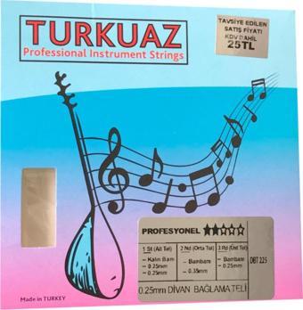 Turkuaz Dbt225 0.25Mm Çelik + Ipek Bamlı Takım Tel Divan Bağlama Teli 025