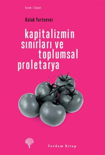 Kapitalizmin Sınırları ve Toplumsal Proletarya - Haluk Yurtsever - Yordam Kitap