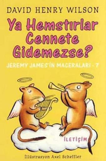 Ya Hemstırlar Cennete Gidemezse? - David Henry Wilson - İletişim Yayınları