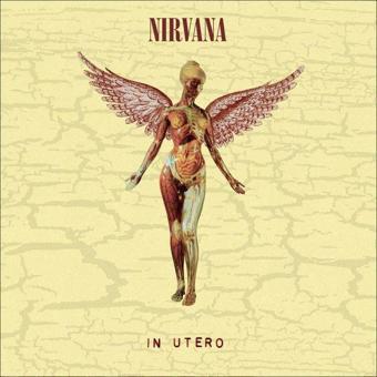 Nirvana In Utero (Super Deluxe) Plak - Nirvana 