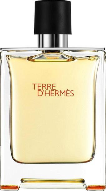 Hermes Terre D'Hermes EDT 100 ml Erkek Parfümü