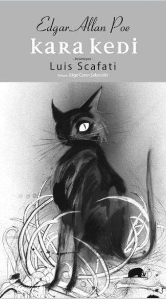 Kara Kedi - Edgar Allan Poe - Kolektif Kitap