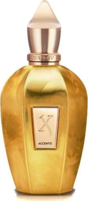 Xerjoff Accento Overdose EDP 100 ml Unisex Parfüm