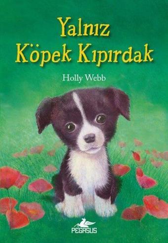 Yalnız Köpek Kıpırdak - Holly Webb - Pegasus Yayınevi