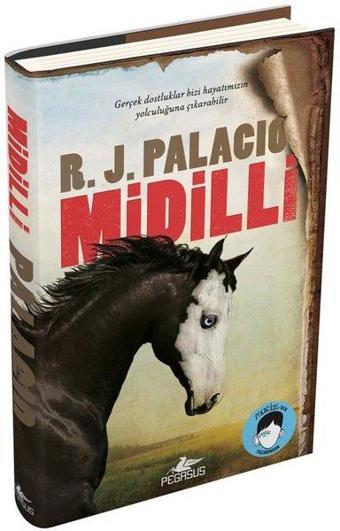 Midilli - R. J. Palacio - Pegasus Yayınevi